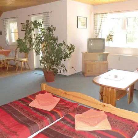 Apartment Pet Friendly