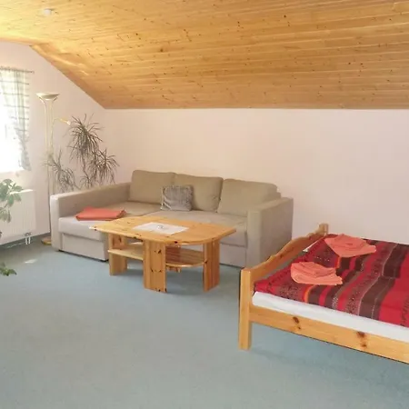 Apartment Pet Friendly *